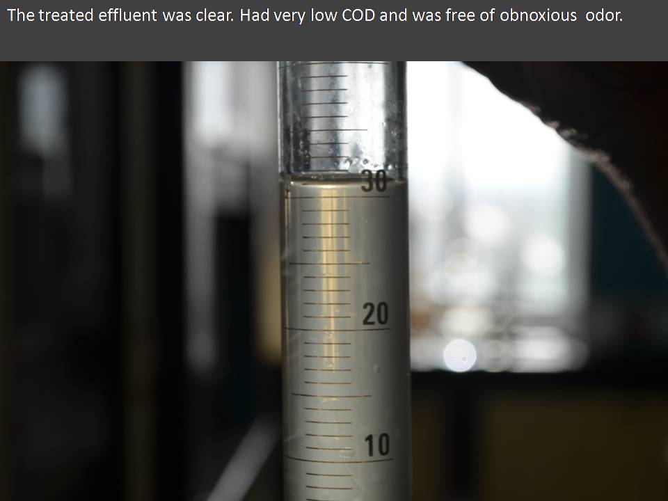 Evobac Treated Effluent